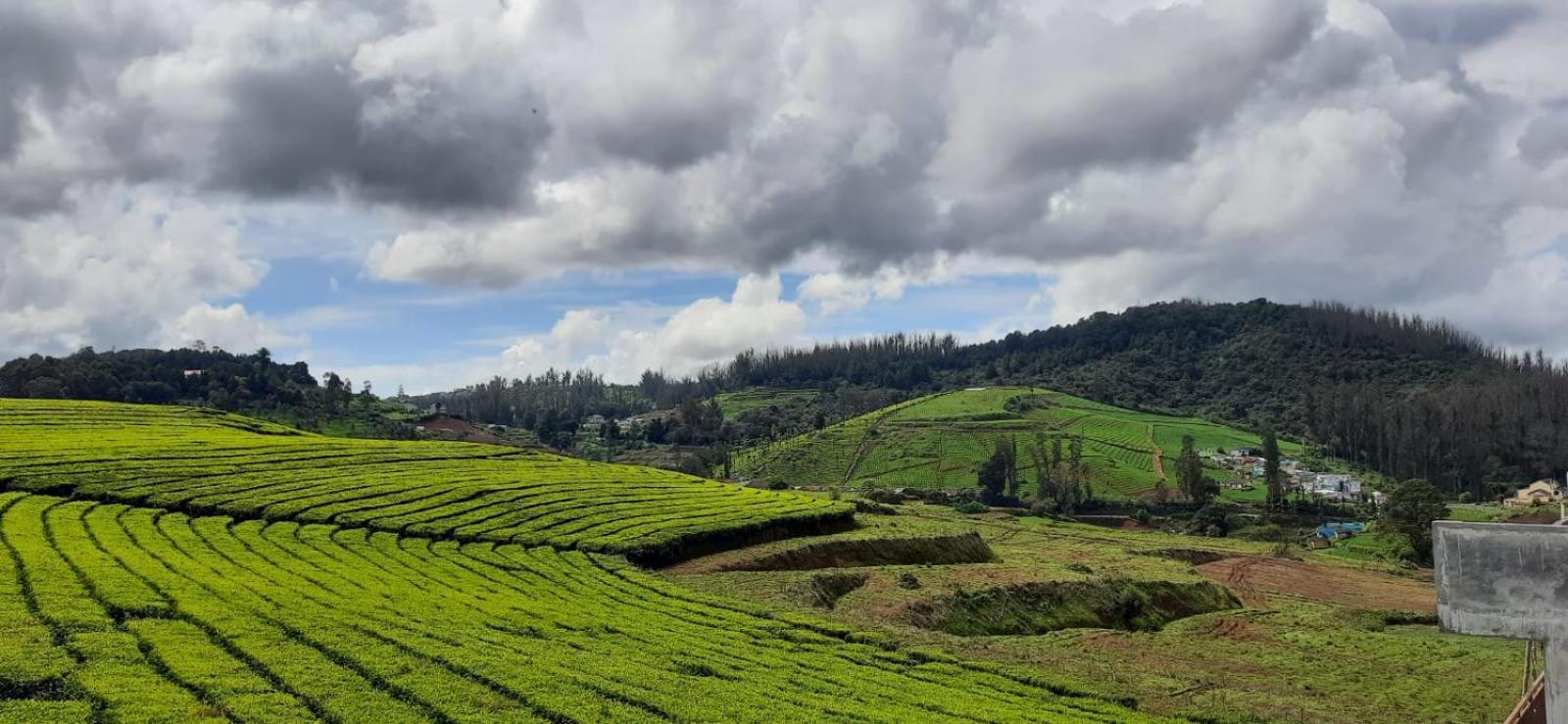 Rose Garden Enclave For Families & Executives Bed & Breakfast Ooty Exterior foto