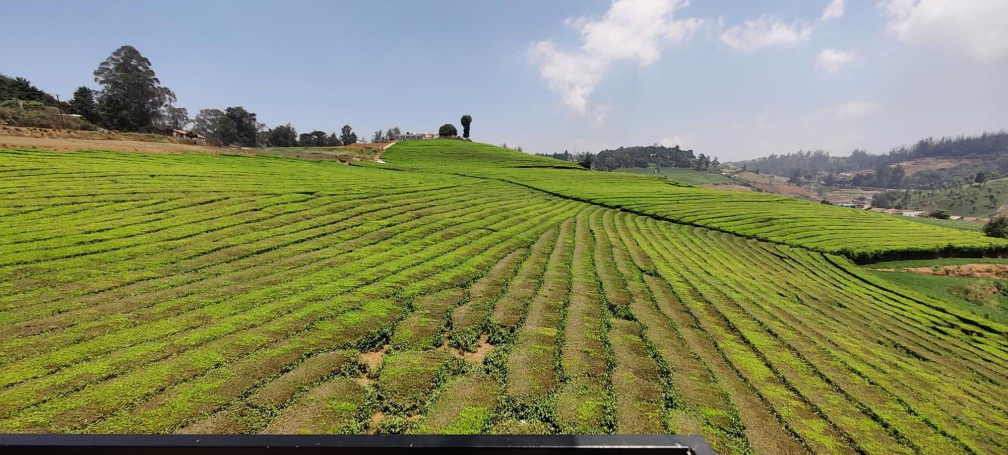 Rose Garden Enclave For Families & Executives Bed & Breakfast Ooty Exterior foto