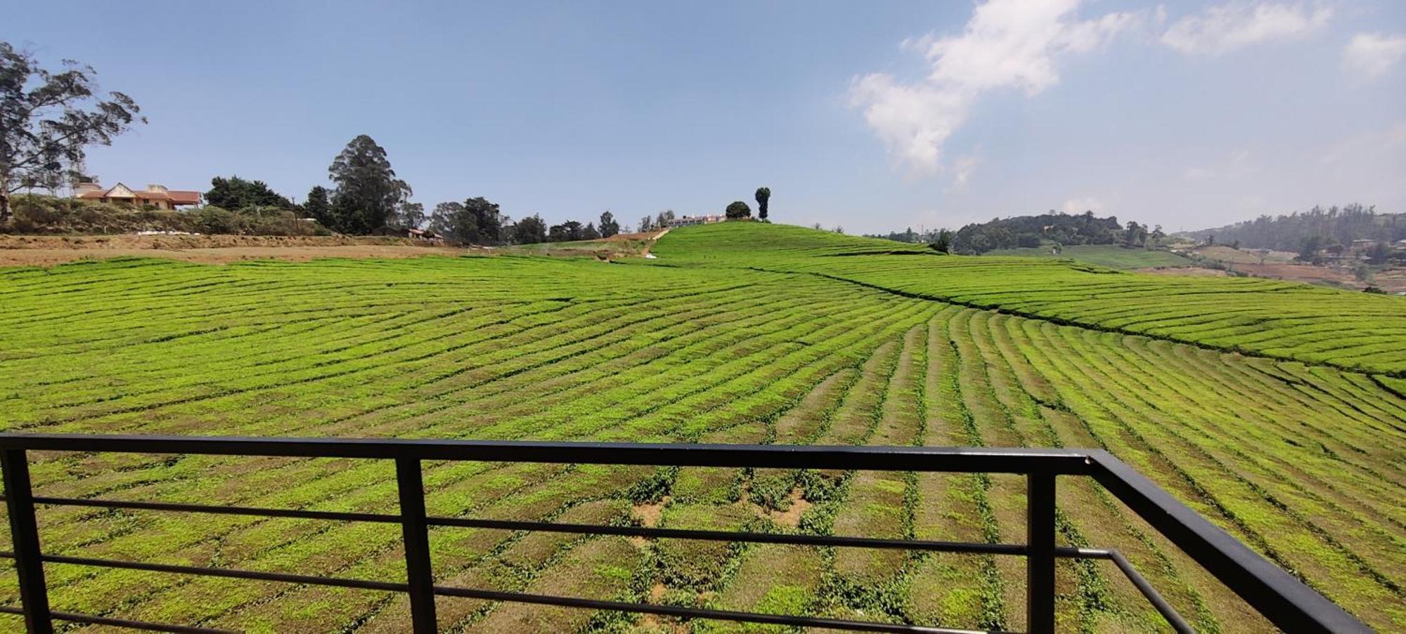 Rose Garden Enclave For Families & Executives Bed & Breakfast Ooty Exterior foto